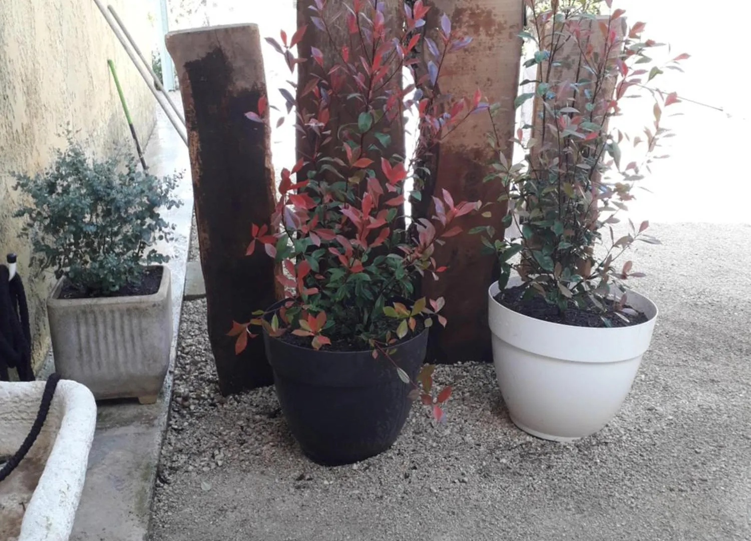Agreable Studio Pres De St Remy De Provence Eyragues 0*,  프랑스